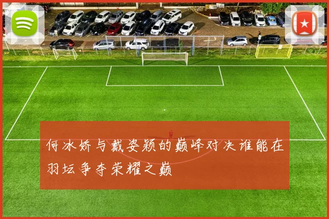 何冰娇与戴姿颖的巅峰对决谁能在羽坛争夺荣耀之巅